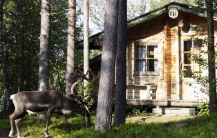 Naturfreundehaus mit Elch